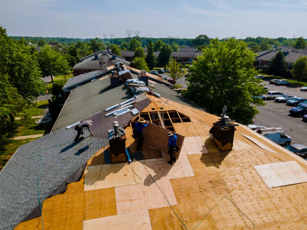 Trusted Roof Inspection service in Trinity Center, CA - Brentwood Metal Roofing